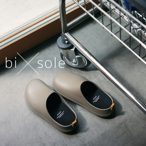 bi×sole
