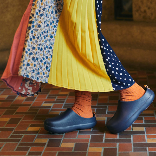 bi×sole