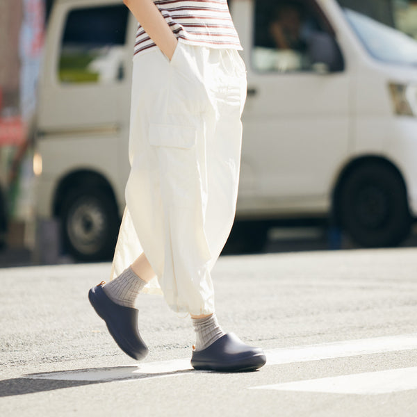 bi×sole